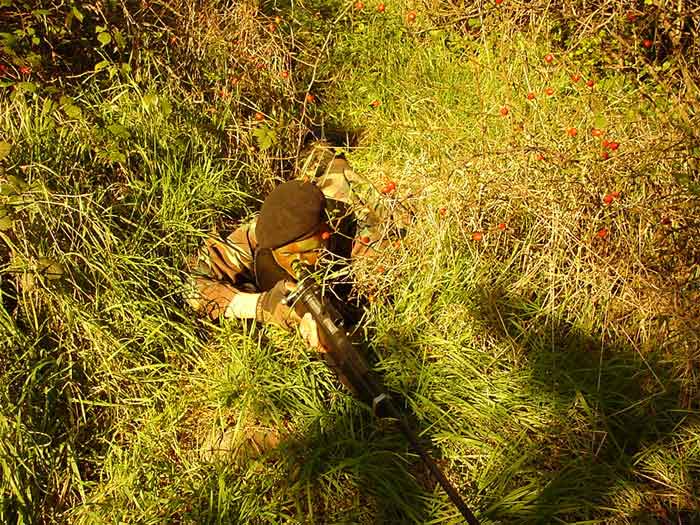 CityShark v plné zbroji